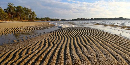 Ada Penjelasan Matematis Tersembunyi di Seluruh Riak Pasir di Muka Bumi