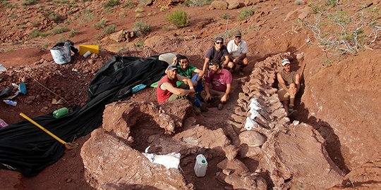 “Scientists Discover Largest Dinosaur Fossil Belonging to Mayorum Patagotitan”