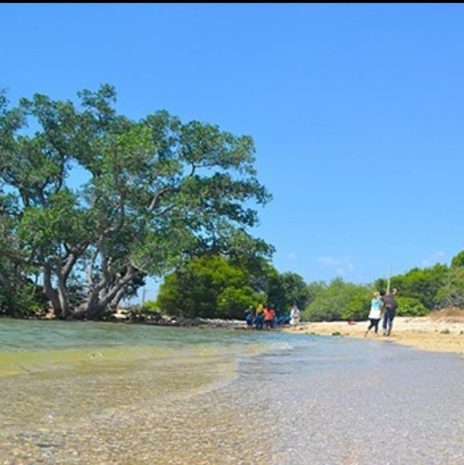 pantai brondong