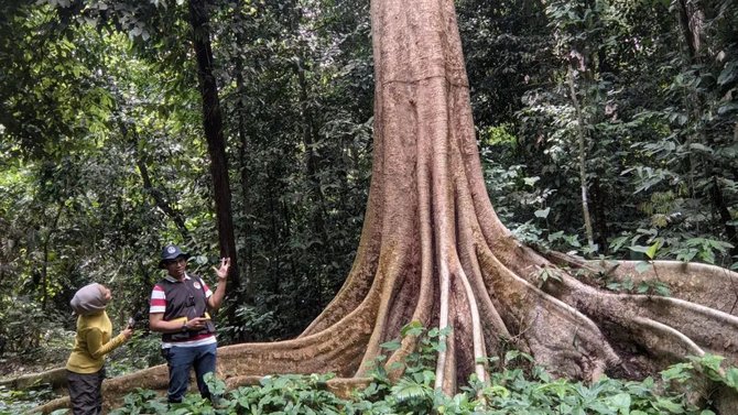 wisata cagar alam sibolangit di deli serdang