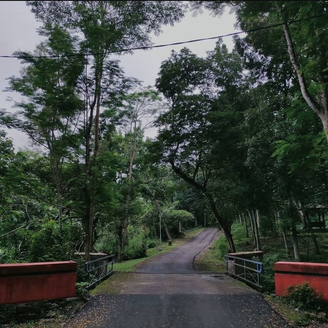 hutan wisata tinjomoyo