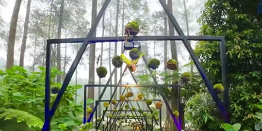 Wisata Seru Bukan Main di Golden Pine Orchid Forest Bandung, Ini Pesonanya