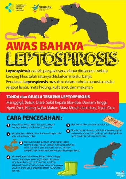 wabah leptospirosis