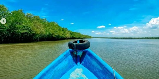 Menikmati Rimbunnya Mangrove di Hutan Payau Tritih, Tempat Liburan Asyik di Cilacap