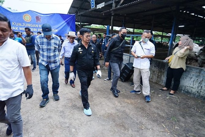 mentan syl tinjau ternak sapi di bekasi