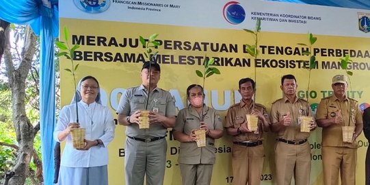 Kendalikan Ancaman Rob, Pemprov DKI Jakarta Tanam Ratusan Mangrove di PIK