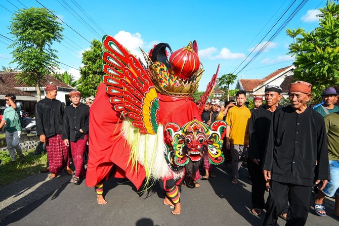 ritual adat barong ider bumi di banyuwangi