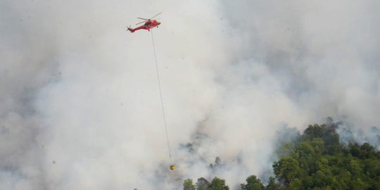 Lahan Gambut di Perbatasan Dumai-Bengkalis Diduga Dibakar, Polda Riau Buru Pelaku