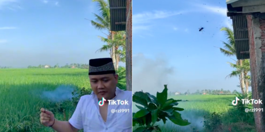 Tragedi di Hari Raya, Nyalakan Petasan di Sawah Malah Dikejar Gerombolan Tawon