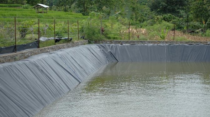 kementan susun berbagai strategi pertanian antisipasi el nino