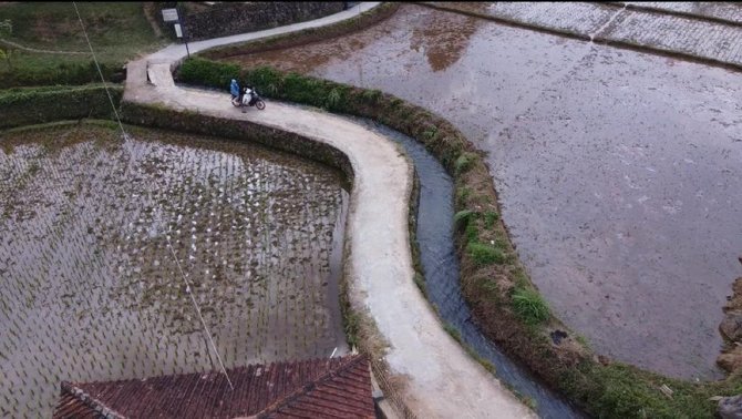 kementan susun berbagai strategi pertanian antisipasi el nino