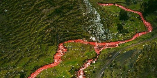 Keunikan Sungai Merah Cusco, Fenomena Tahunan di Peru