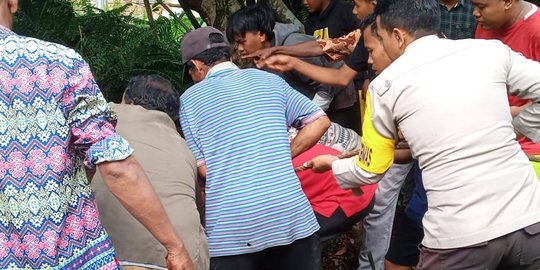 Warga Kepulauan Meranti Tewas Diterkam Buaya saat Cari Udang di Sungai