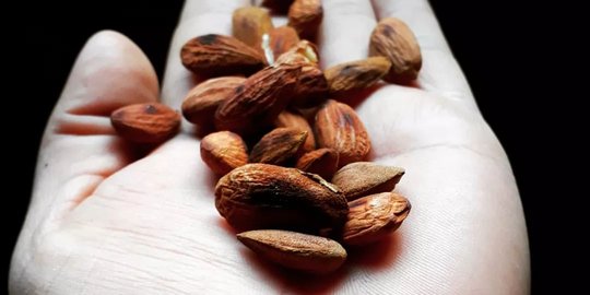 Ciptaan Unik Ilmuwan Buat Baterai Bisa Dimakan, Bahannya dari Kacang Almond