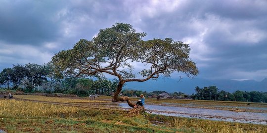 10 Wisata Salatiga Populer, Banyak yang Murah Meriah