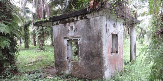 Cikal Bakal Lahirnya Kabupaten Labuhanbatu, Ini Sejarah Kesultanan Bilah