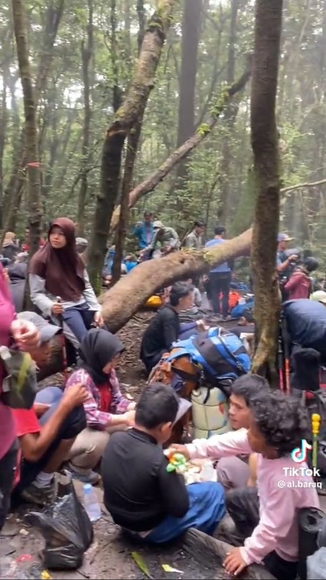 Tak Hanya Di Kota Begini Momen Macet Di Gunung Gede Pangrango 