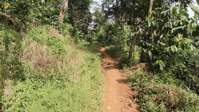 suasana kampung cilayung di garut