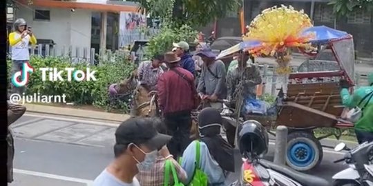 Diduga Kelelahan, Kuda Penarik Delman Ini Tiba-Tiba Ambruk di Tengah Jalan