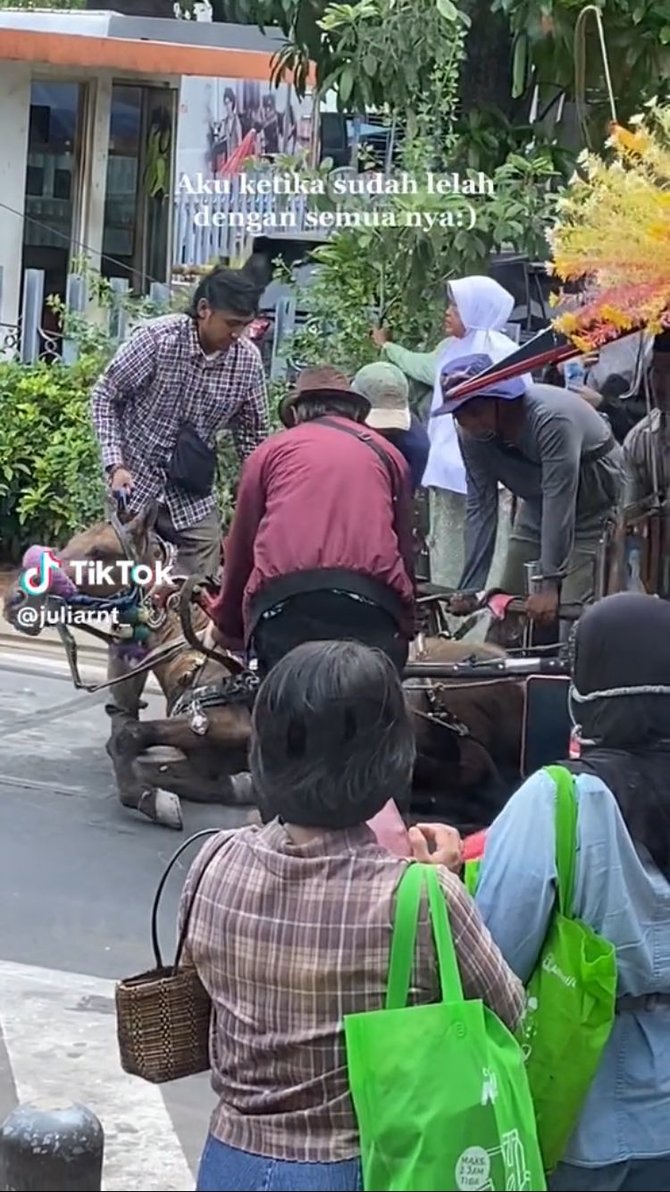 viral video kuda delman ambruk di tengah jalan diduga kelelahan