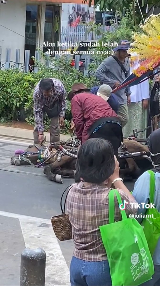 viral video kuda delman ambruk di tengah jalan diduga kelelahan