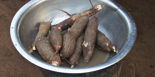 Kisah di Balik Singkong, Makanan 'Kampung' yang Punya Makna Besar bagi Orang Sunda