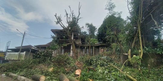 Viral Dokter Tinggal di Rumah Megah Penuh Sampah & Semak, Tapi Banyak Warga Berobat