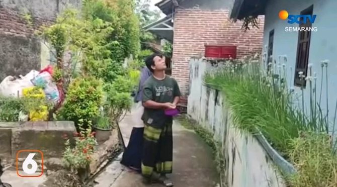 kisah di balik pembunuhan bayi di pati