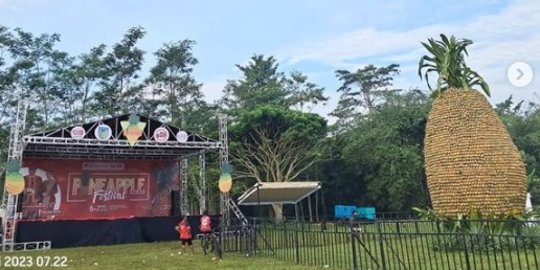 Potret Kemeriahan Pineapple Festival 2023 di Gunung Kelud, Surga bagi Pencinta Nanas