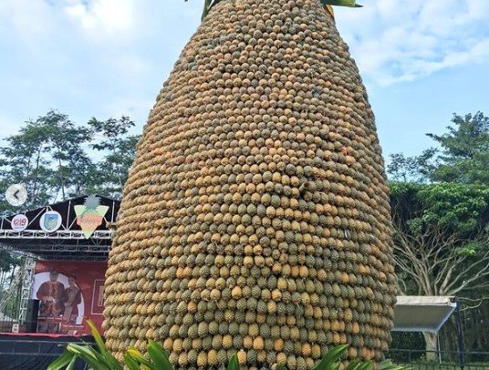 pineapple festival 2023 di kawasan gunung kelud kediri