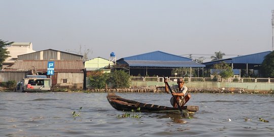 Lingkungan Terdiri dari Dua Komponen, Berikut Penjelasan dan Contohnya