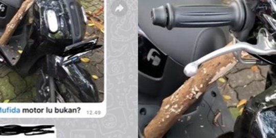 Motor Wanita ini Kejatuhan Dahan Pohon Rusak saat Parkir, Faktanya Bikin Nyesek