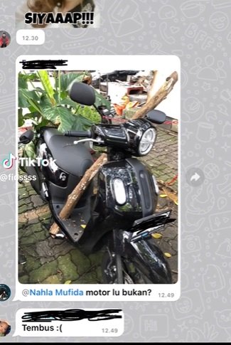 motor wanita ini kejatuhan dahan pohon rusak saat parkir faktanya bikin nyesek