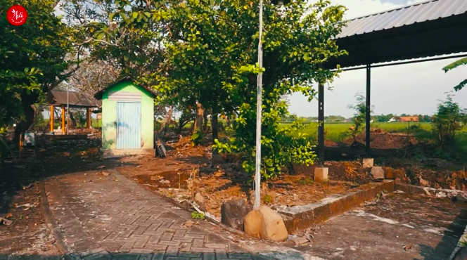 lokasi ini diyakini cikal bakal majapahit tempat raden wijaya temukan buah maja