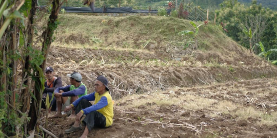 Hadapi Kekeringan, Kementan Minta Beda Penangan Antara Daerah Beririgasi dan Tidak