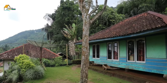 Kampung di Cianjur Ini Bersih Banget, Halaman Rumah Warga Ditumbuhi Rumput Indah
