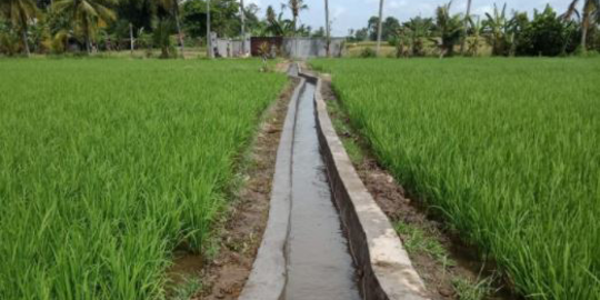 Petani Purwakarta Sebut Terbantu Program Kementan Hadapi El Nino