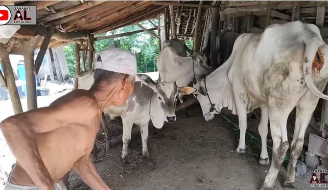 kehidupan warga di pedalaman hutan blora