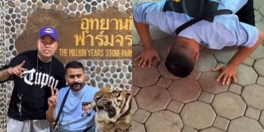 Niat Ingin Foto Bareng Harimau, Pria Ini Lari Terbirit Sampai Sujud, Kenapa?