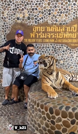 niat ingin foto bareng harimau pria ini lari terbirit sampai sujud kenapa