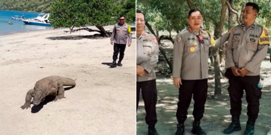 Komjen Fadil Imran di Pulau Komodo, Ada Momen Sang Jenderal Ikuti Hewan Reptil