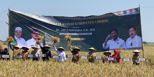 Pastikan Ketersediaan Pangan Aman, Irjen Kementan Kawal Panen Raya di Cirebon