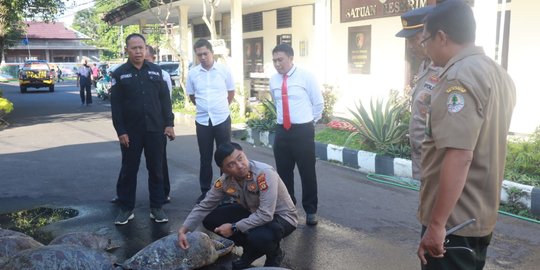 Kronologi Polisi Gagalkan Penyelundupan 18 Penyu yang Dikawal Fortuner di Bali