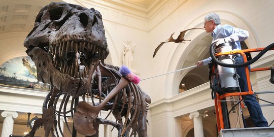 Benarkah Minyak Bumi Berasal dari Fosil Dinosaurus? Sains Beri Jawaban Ilmiah