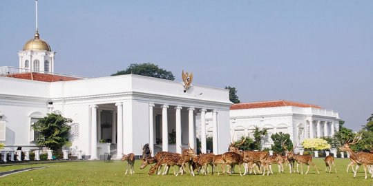 Patung Dewi Kwan Im di Istana Bogor Mau Ditukar 2 Sedan Mercy Antipeluru