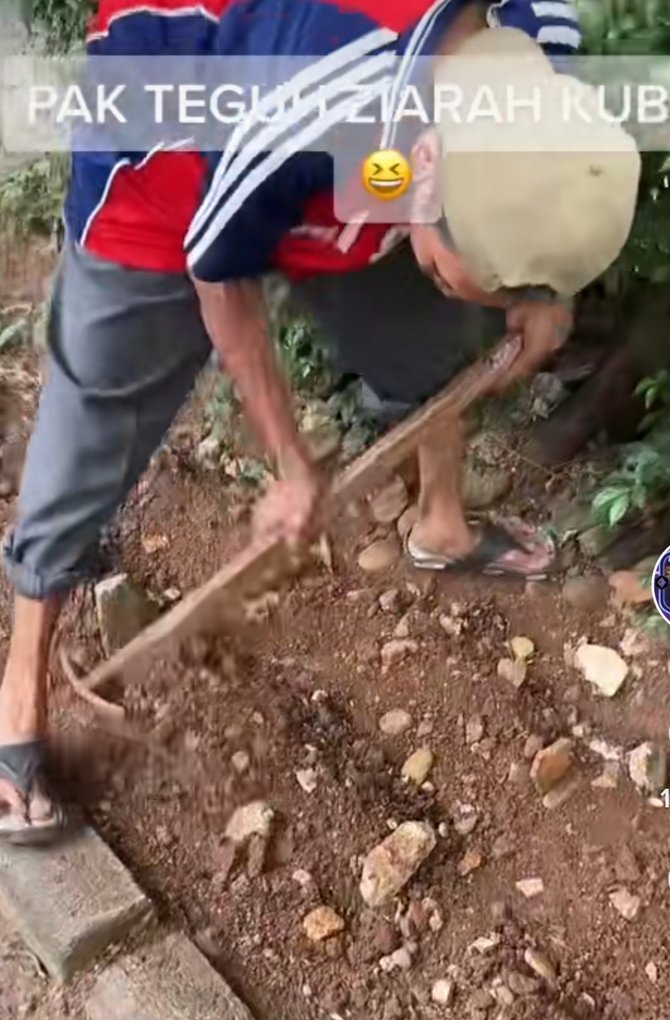 viral pria ini rawat makam kucing jalanan bikin haru