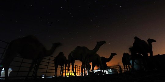 Gambaran Galaksi Bima Sakti Selama Ini Keliru, Ilmuwan Ungkap Bentuknya Lain