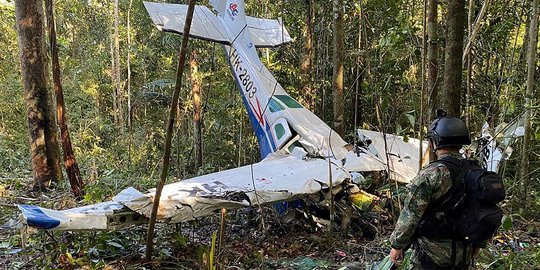 Misteri Nasib Anak-Anak Korban Pesawat Jatuh di Hutan Amazon, Sudah Dua Minggu Hilang