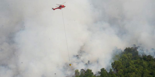 Sebulan Berlalu, Biang Kerok Kebakaran 50 Hektare Lahan di Bengkalis Belum Terungkap