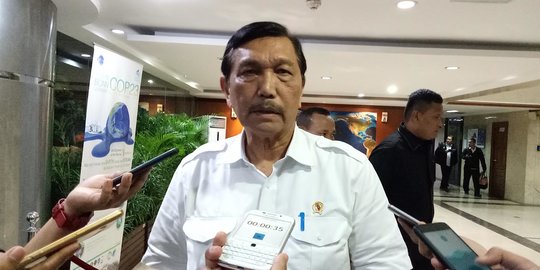 Tak Ingin Mobil Listrik Subsidi Sepi Peminat, Ini Strategi Luhut